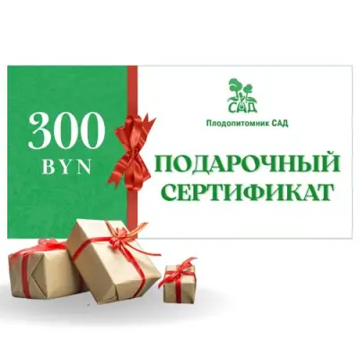 Подарочный сертификат на 300 BYN в Якутске