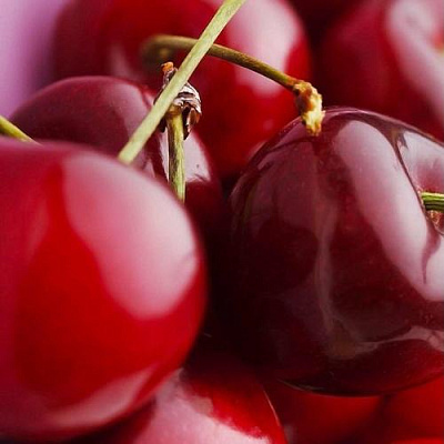 Вишня Вишня в Якутске