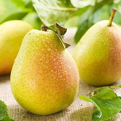 Сочная в Якутске